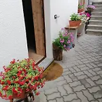 Taverna Larice Apartment