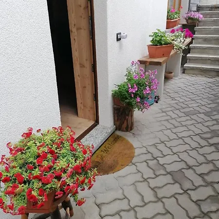 Taverna Larice Apartment